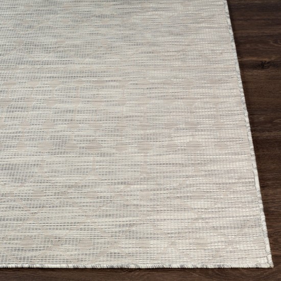 Surya Pasadena Psa-2376 Light Beige Rug 7'8" X 10'