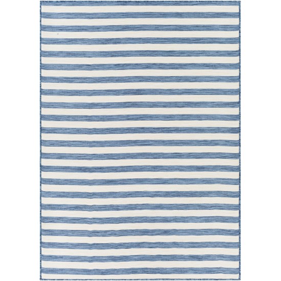 Surya Pasadena Psa-2379 Denim Rug 2'7" X 4'11"