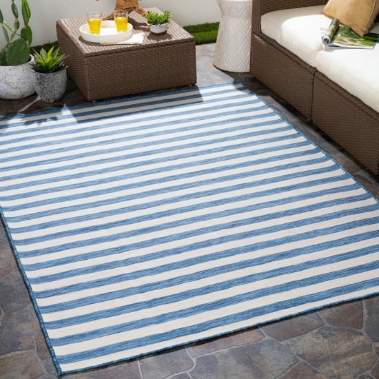 Surya Pasadena Psa-2379 Denim Rug 2'7" X 4'11"