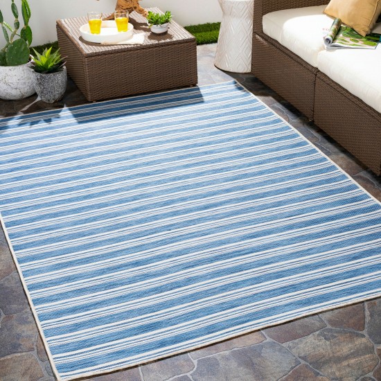 Surya Pasadena Psa-2383 Denim Rug 2'7" X 4'11"