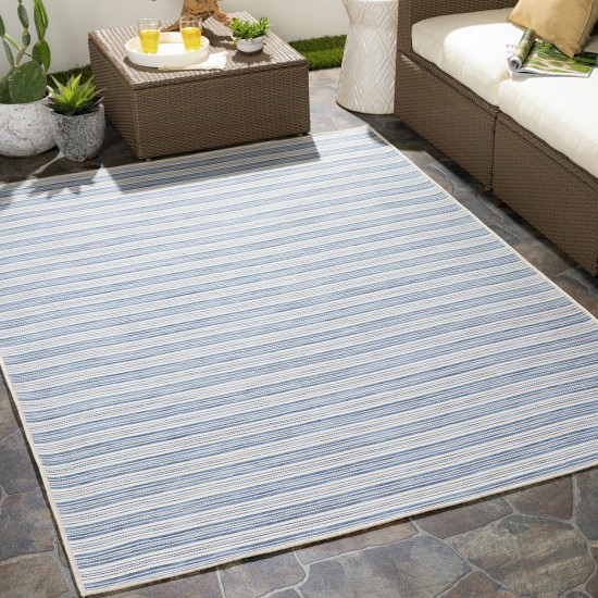 Surya Pasadena Psa-2385 Denim Rug 2'7" X 4'11"