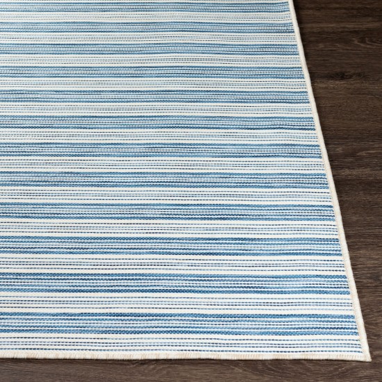 Surya Pasadena Psa-2385 Denim Rug 7'10" X 10'2"