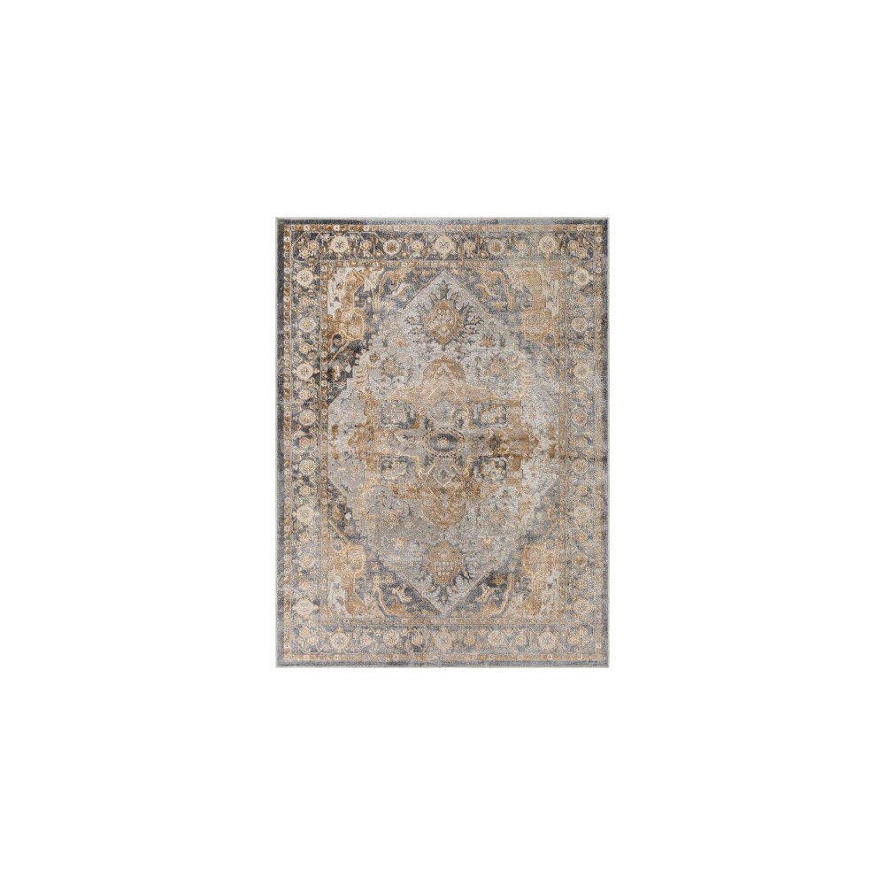 Surya Perception Pcp-2312 Rug 6'7" X 9'2" Surya Perception Pcp-2312 Rug 6'7" X 9'2"