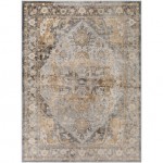 Surya Perception Pcp-2312 Rug 7'9" X 9'6"