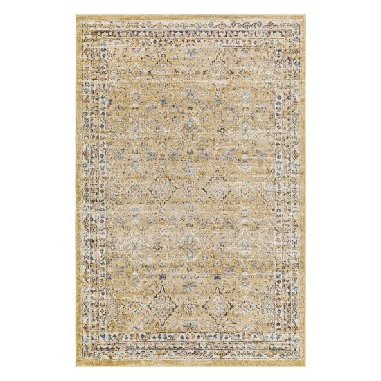 Surya Pertek Ptk-2305 Rug 2' X 3'