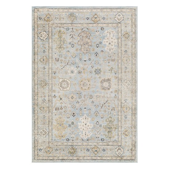 Surya Pertek Ptk-2307 Rug 2' X 3'