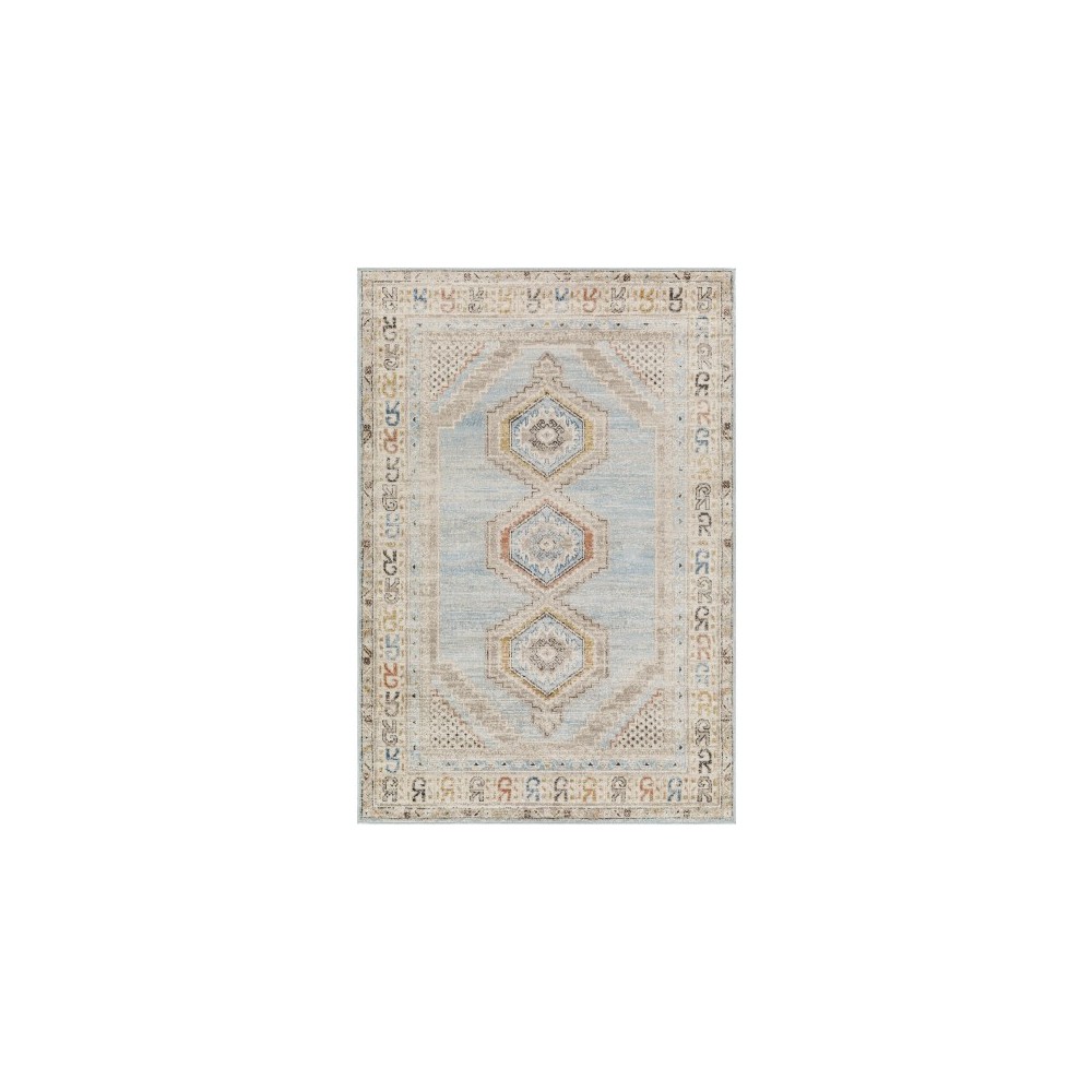 Surya Pertek Ptk-2310 Rug 2' X 3'