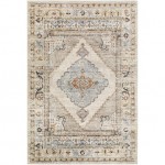 Surya Pertek Ptk-2311 Rug 2' X 3'