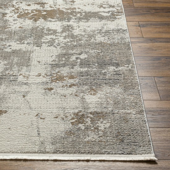 Surya Perugia Prg-2305 Rug 6'7" X 9'