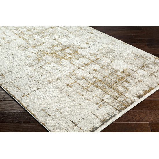 Surya Perugia Prg-2306 Rug 2' X 3'