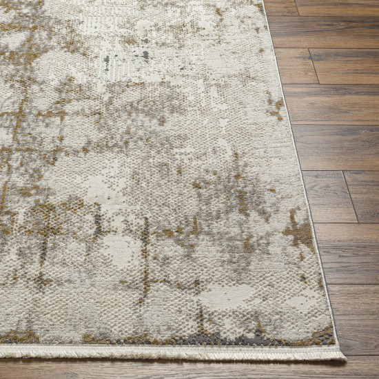 Surya Perugia Prg-2306 Rug 2' X 3'