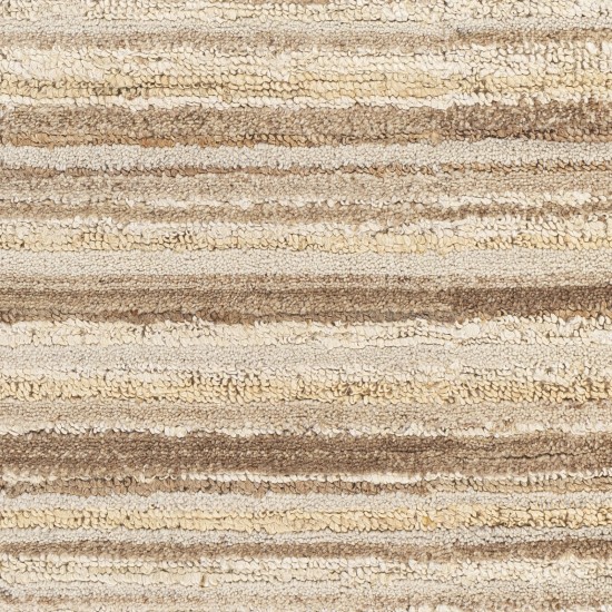 Surya Petra Dark Brown Rug 8'10" X 12'