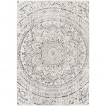 Surya Pisa Pss-2326 Rug 6\'7" X 9\'