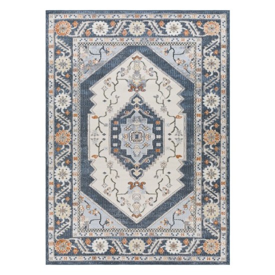 Surya Pisa Pss-2329 Rug 6'7" X 9'