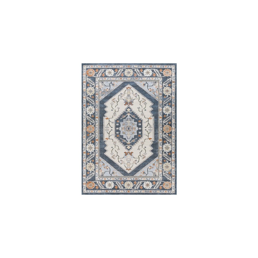 Surya Pisa Pss-2329 Rug 6'7" X 9'