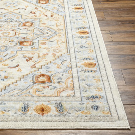 Surya Pisa Pss-2331 Rug 6'7" X 9'