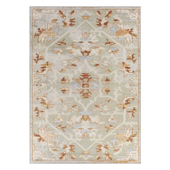 Surya Pisa Pss-2333 Rug 4'11" X 7'