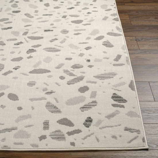 Surya Pisa Pss-2349 Rug 6'7" X 9'