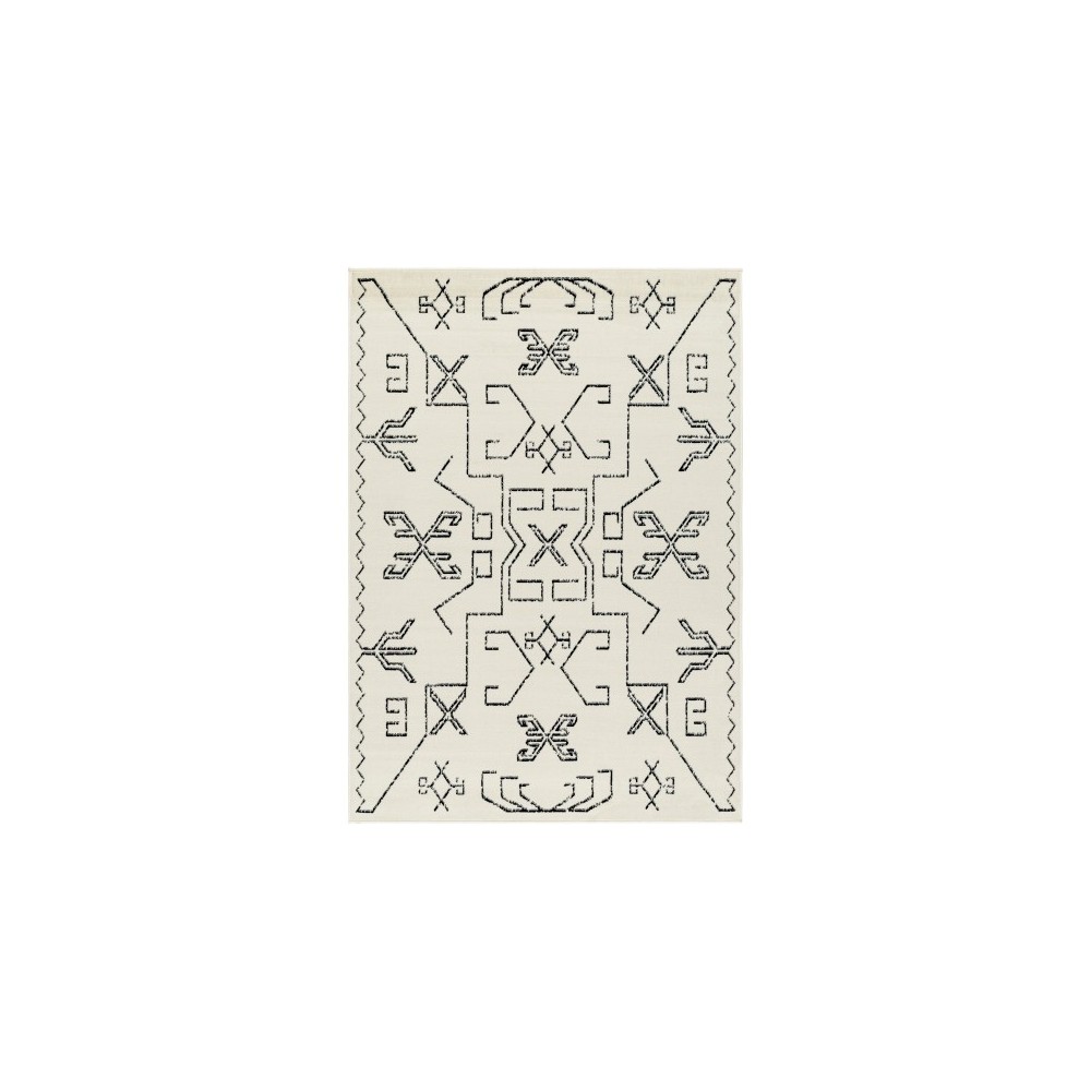 Surya Pisa Pss-2362 Rug 6'7" X 9'