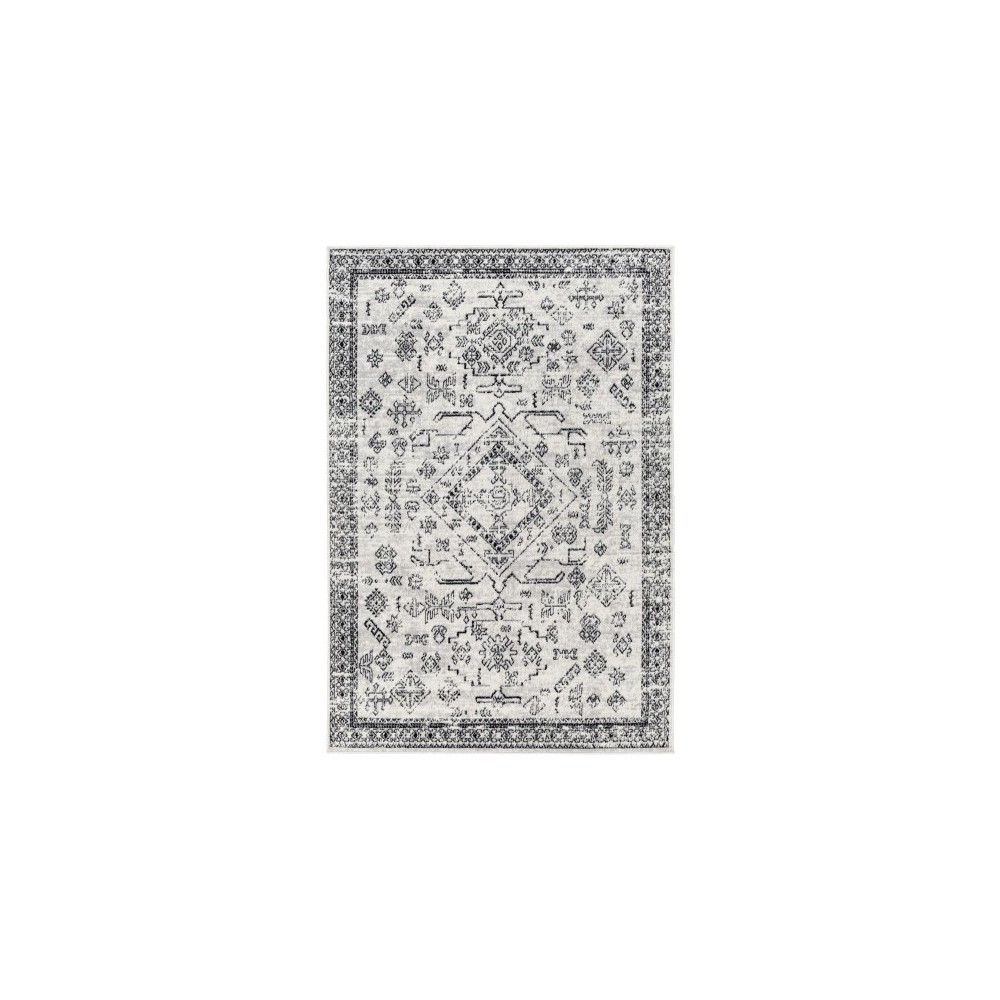 Surya Pisa Pss-2366 Rug 5' X 7' Surya Pisa Pss-2366 Rug 5' X 7'