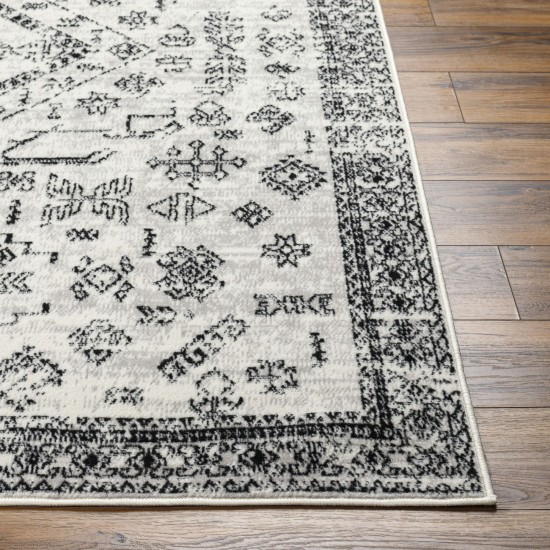 Surya Pisa Pss-2366 Rug 5' X 7'