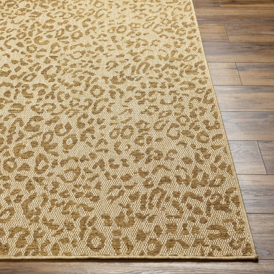 Surya Pismo Beach Pmb-2300 Rug 2' X 3'