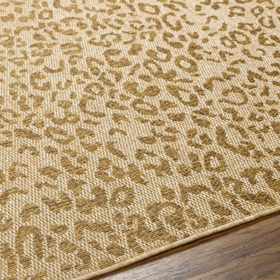 Surya Pismo Beach Pmb-2300 Rug 9'2" X 12'