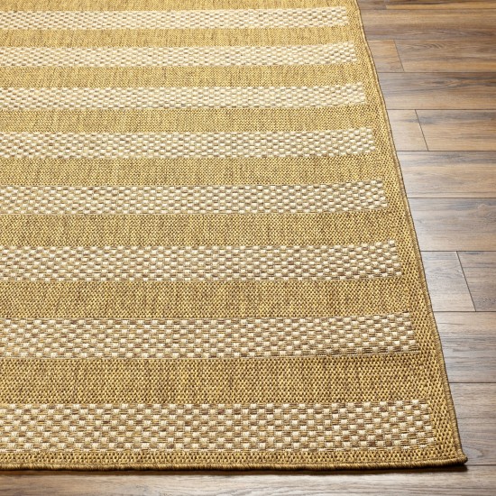 Surya Pismo Beach Pmb-2302 Rug 2' X 3'