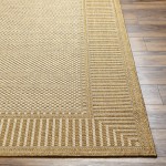 Surya Pismo Beach Pmb-2303 Rug 2' X 3'