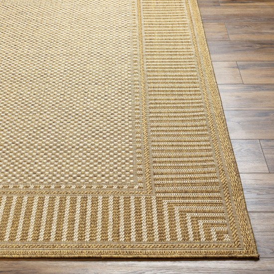 Surya Pismo Beach Pmb-2303 Rug 2' X 3'