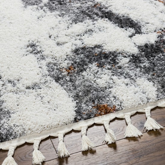 Surya Polaris Pri-2302 Rug 6'7" X 9'