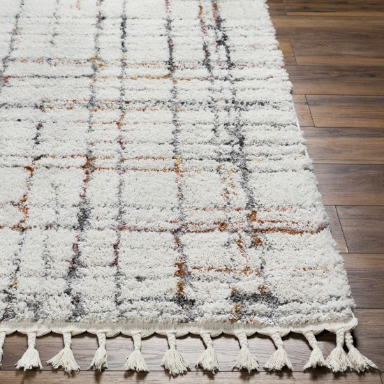 Surya Polaris Pri-2304 Rug 5'2" X 7'