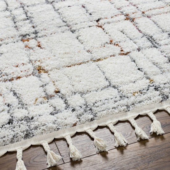 Surya Polaris Pri-2304 Rug 5'2" X 7'