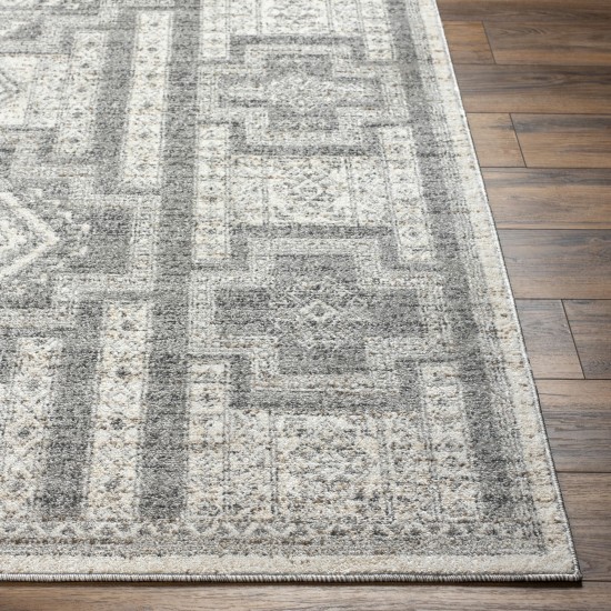 Surya Positano Psn-2316 Rug 7'10" X 10'