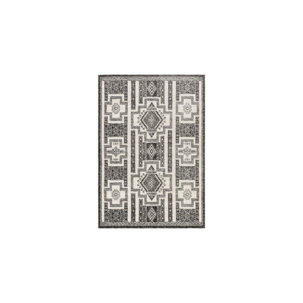Surya Positano Psn-2317 Rug 5'3" X 7'3" Surya Positano Psn-2317 Rug 5'3" X 7'3"