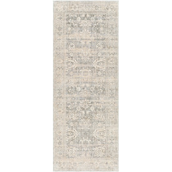 Surya Presidential Pdt-2323 Light Beige Rug 3'3" X 10'