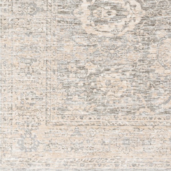 Surya Presidential Pdt-2323 Light Beige Rug 3'3" X 8'