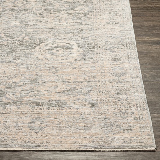 Surya Presidential Pdt-2323 Light Beige Rug 3'3" X 8'