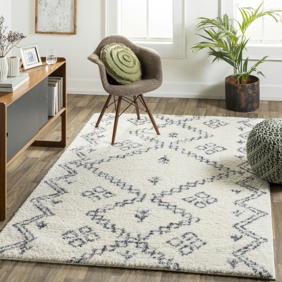 Surya Puffy Shag Pfy-2303 Rug 5'3" X 7'