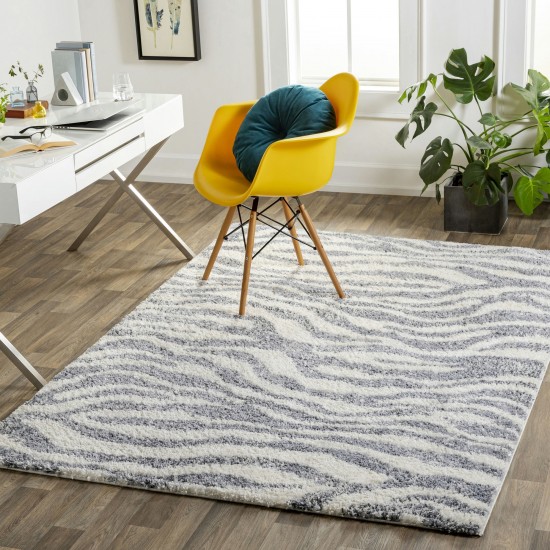 Surya Puffy Shag Pfy-2306 Rug 5'3" X 7'