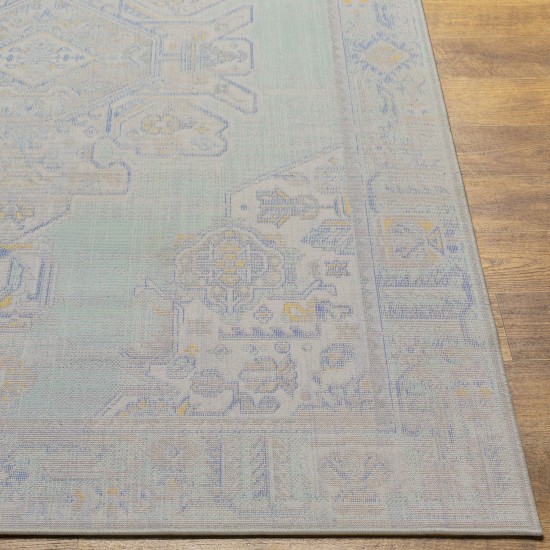 Surya Rafetus Ets-2364 Rug 2' X 2'11"