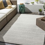 Surya Rain Light Gray Rug 3' X 5'