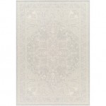 Surya Ravello Rvl-2310 Rug 2' X 3'