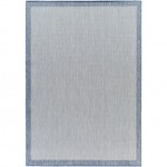 Surya Ravello Rvl-2389 Rug 2' X 3'