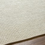 Surya Rebecca Rbc-2303 Rug 2' X 3'