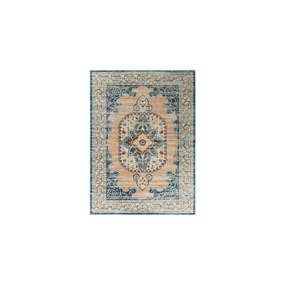 Surya Redondo Beach Rdd-2302 Rug 6'7" X 9'