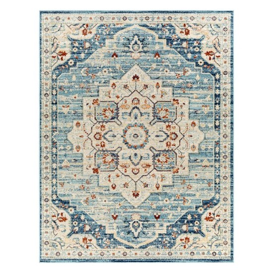 Surya Redondo Beach Rdd-2303 Rug 7'10" X 10'