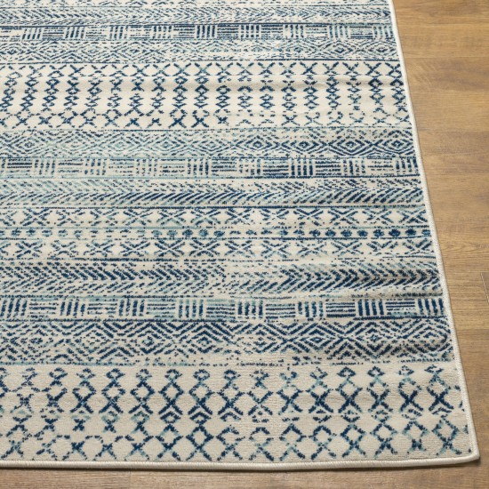Surya Redondo Beach Rdd-2304 Rug 6'7" X 9'