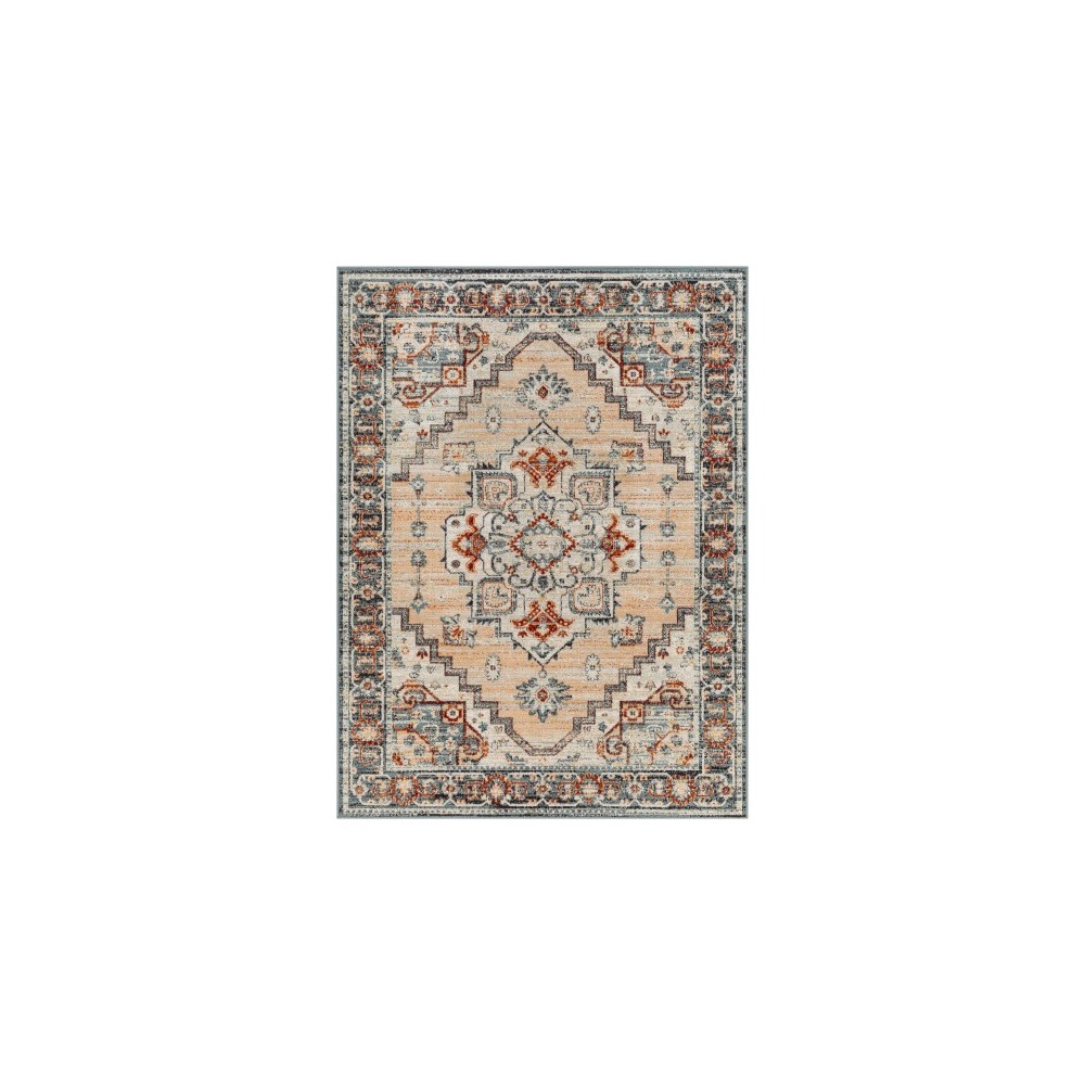 Surya Redondo Beach Rdd-2306 Rug 6'7" X 9'