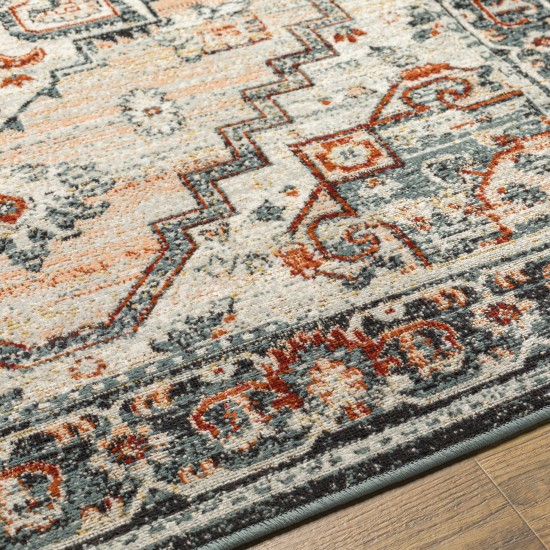 Surya Redondo Beach Rdd-2306 Rug 6'7" X 9'